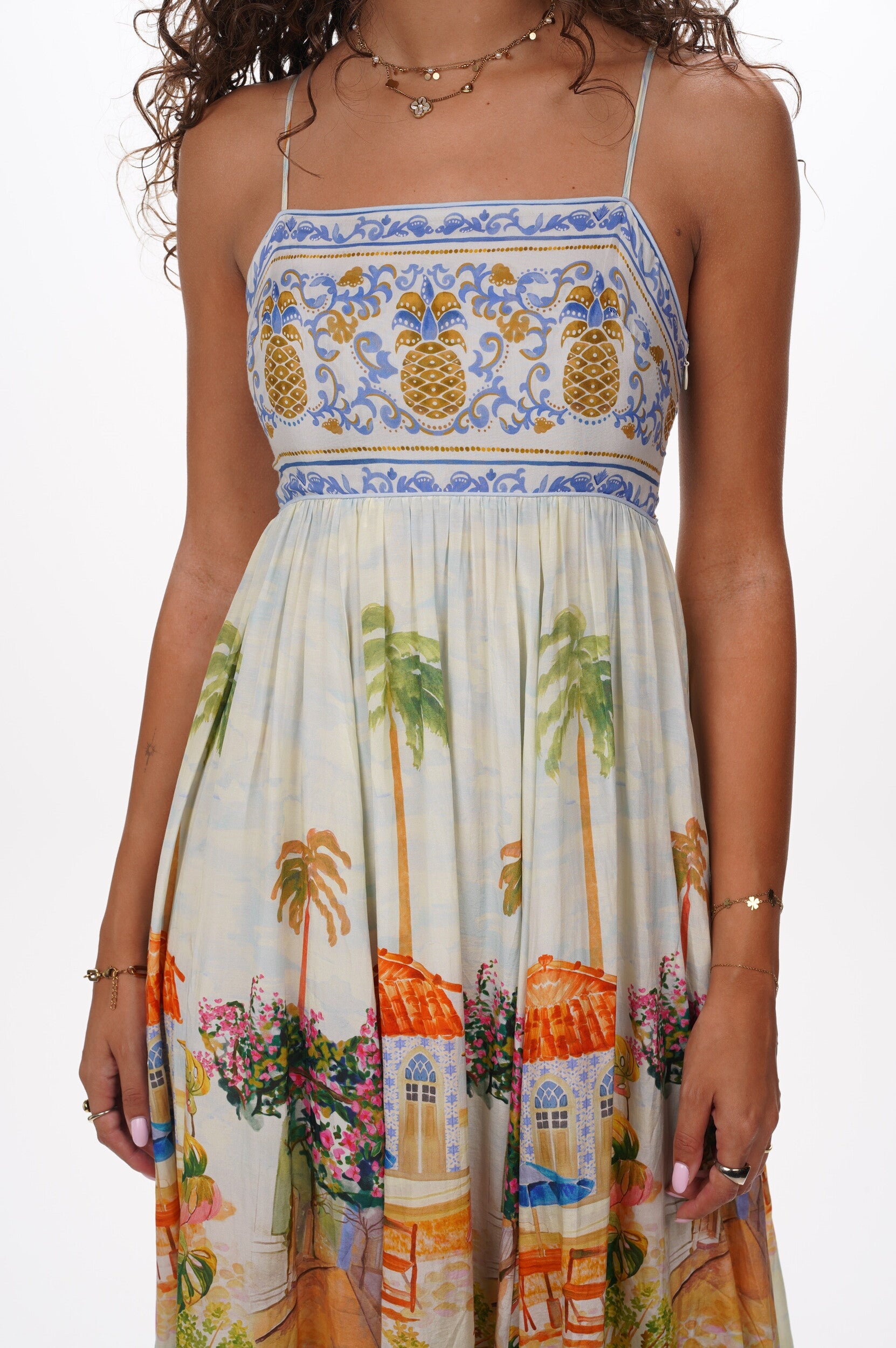 FARM RIO Dress Aracati multicolor maxi