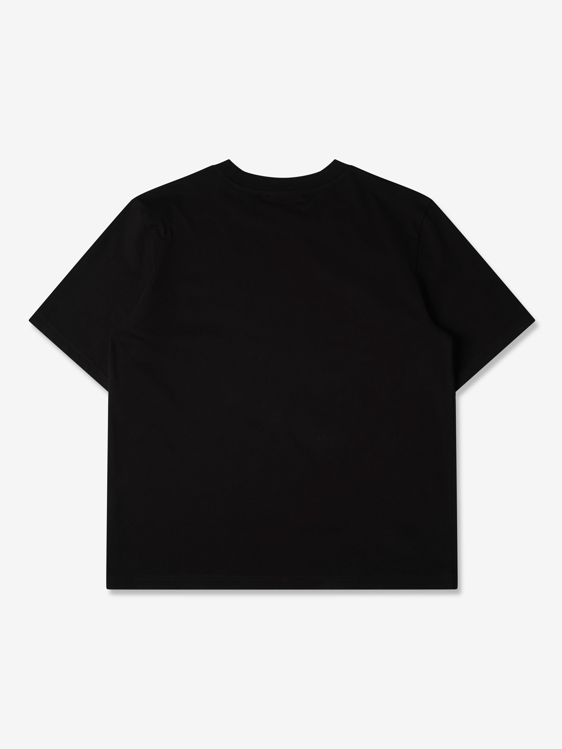 Purple Mountain Observatory T Shirt RETURN TO THE WOODS SS TEE